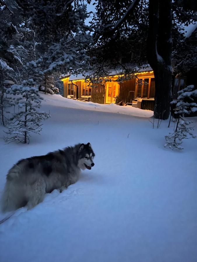 Samblatalu Homestay Laulasmaa Buitenkant foto